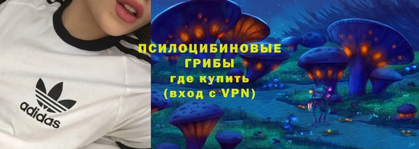 таблы Гусь-Хрустальный