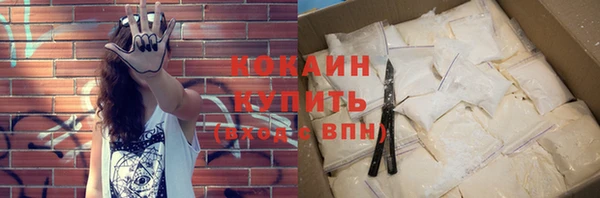 ешки Гусев