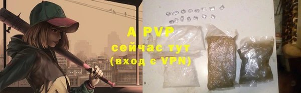 спайс Вяземский