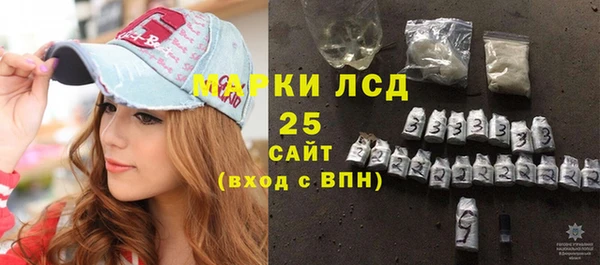 ПСИЛОЦИБИНОВЫЕ ГРИБЫ Дмитриев