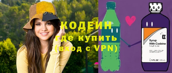 ПСИЛОЦИБИНОВЫЕ ГРИБЫ Дмитриев